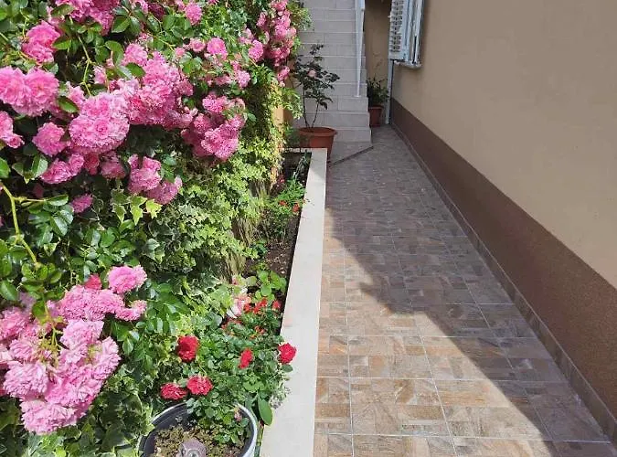 The A View Apartament *