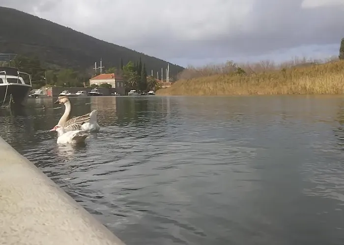 Apartament The A View *